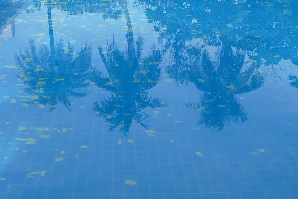 Hovuz jihozi Hovlisoz VL-135, 2-rasm