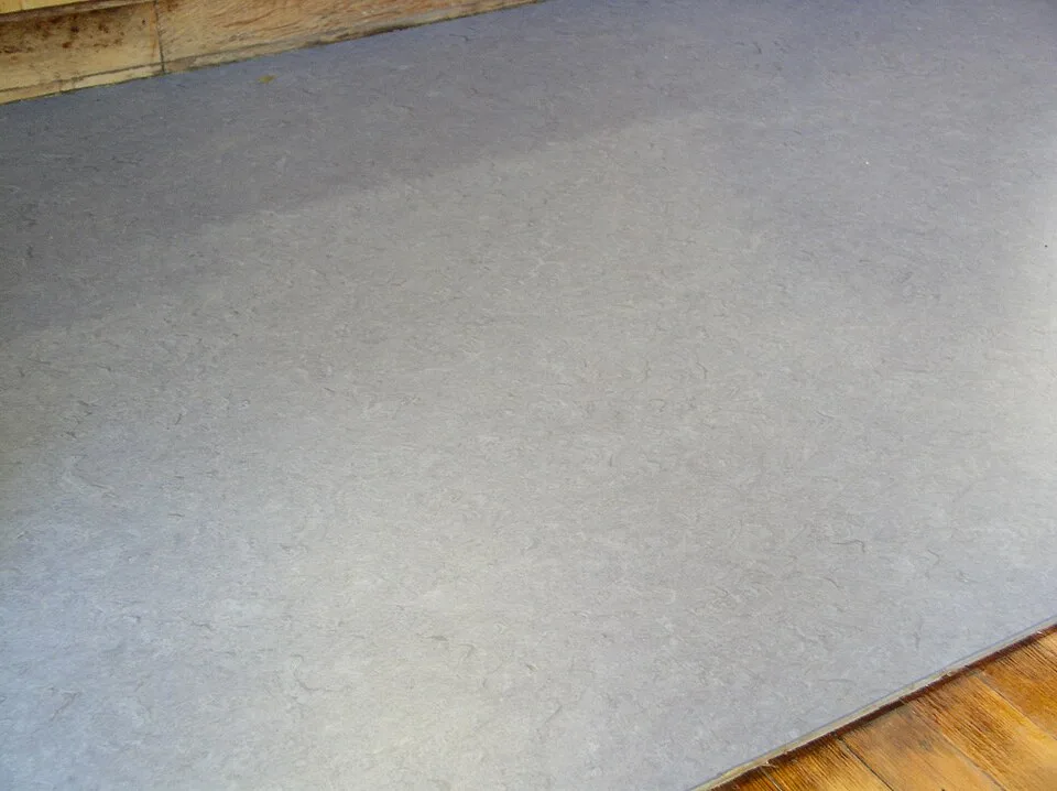 Tijorat linoleum DK-121, 2-rasm